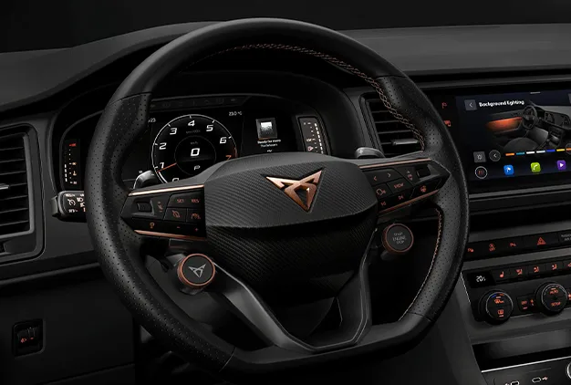 CUPRA steering wheel