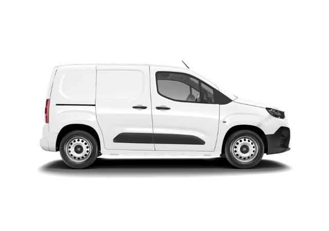 Professional Doblò Van