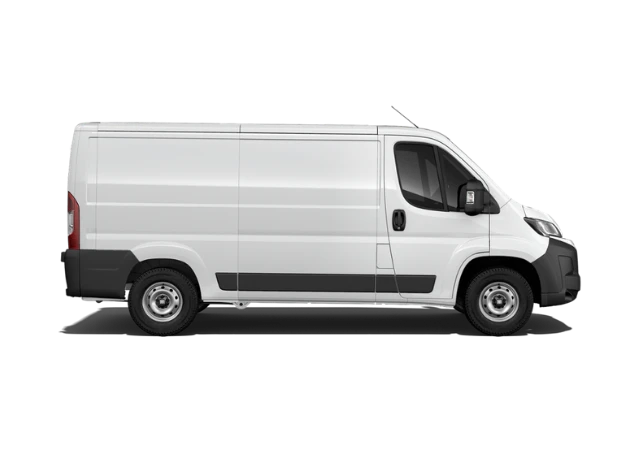 Professional Ducato Van