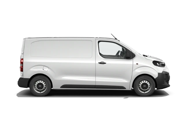 Professional Scudo Van