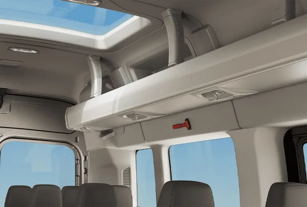 Overhead luggage racks