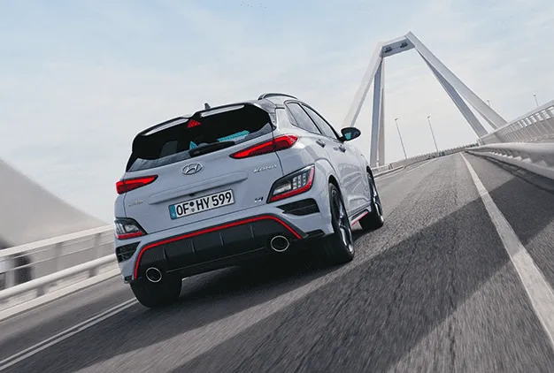 Large double-wing roof spoiler