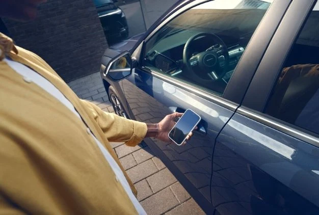 Remote Smart Parking.