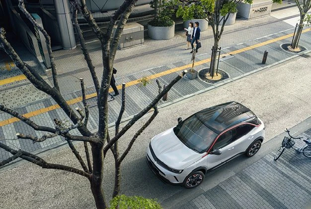 Roof & Exterior Style